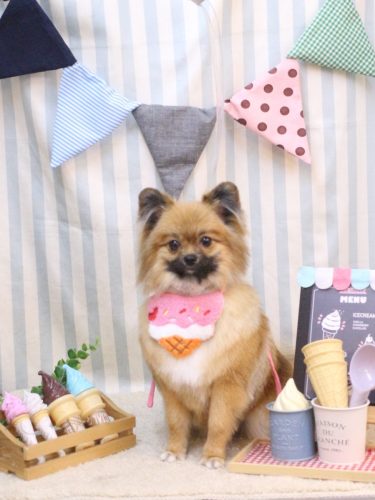 20250515うにちゃん